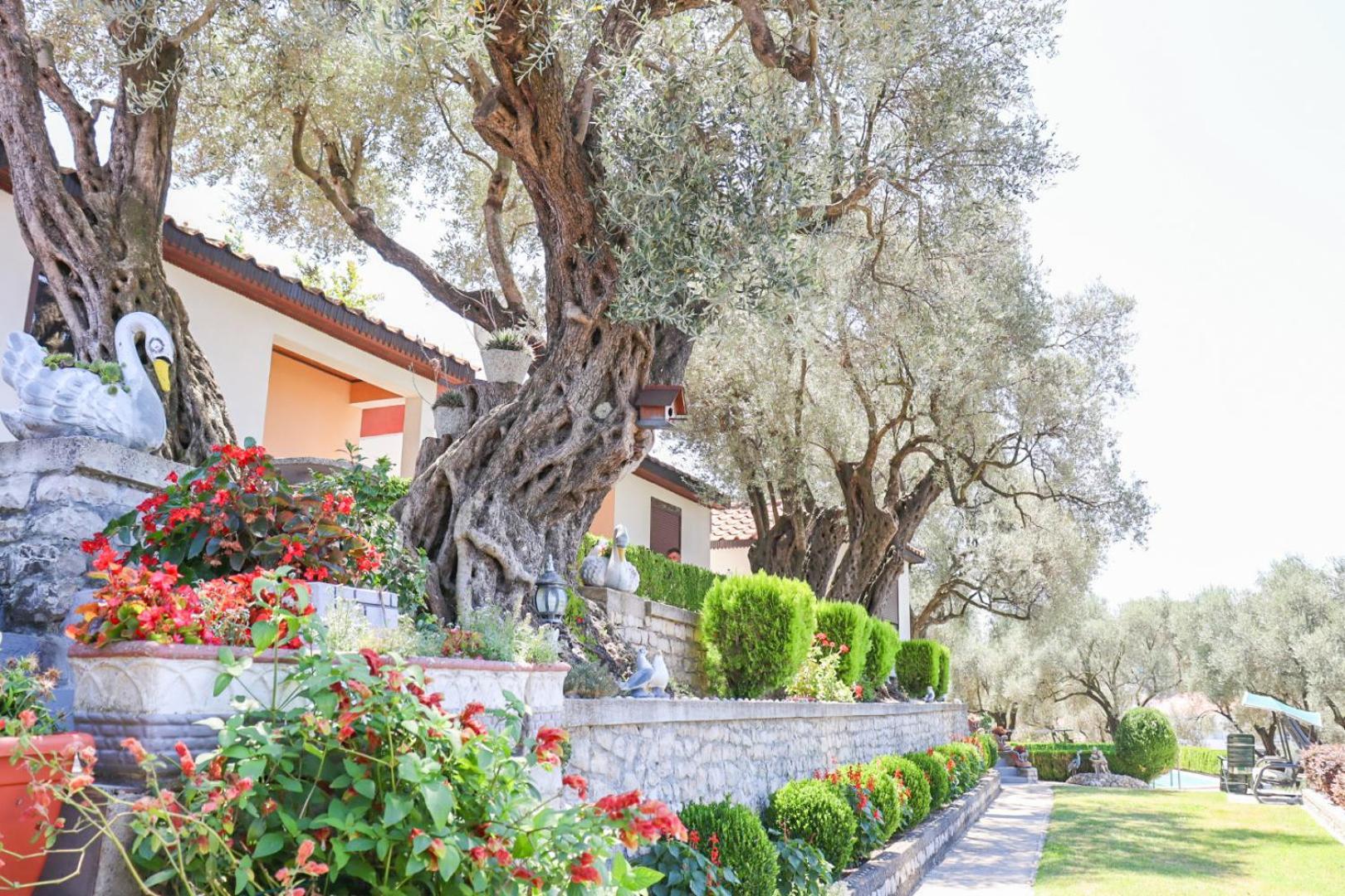 Hilja'S Oliven Garden Bungalows 乌尔齐尼 外观 照片