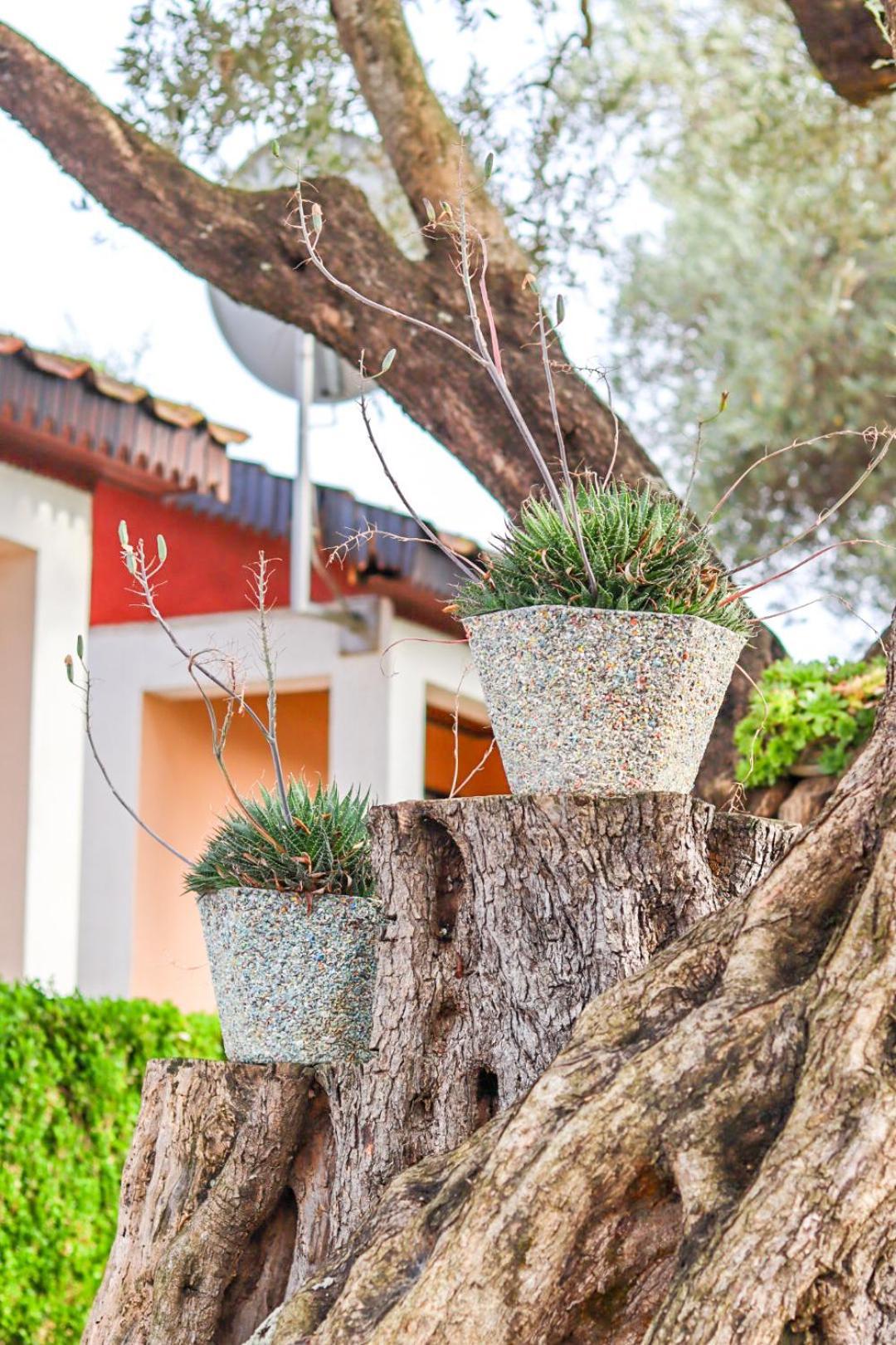 Hilja'S Oliven Garden Bungalows 乌尔齐尼 外观 照片