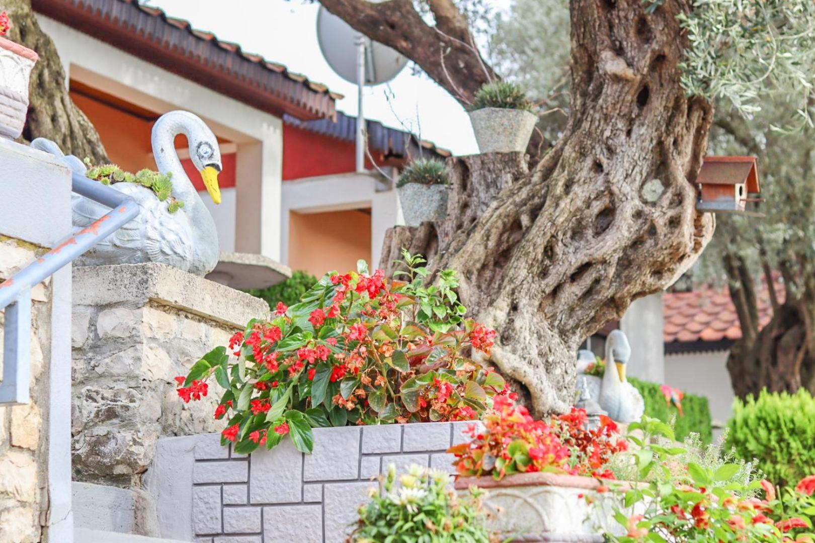 Hilja'S Oliven Garden Bungalows 乌尔齐尼 外观 照片