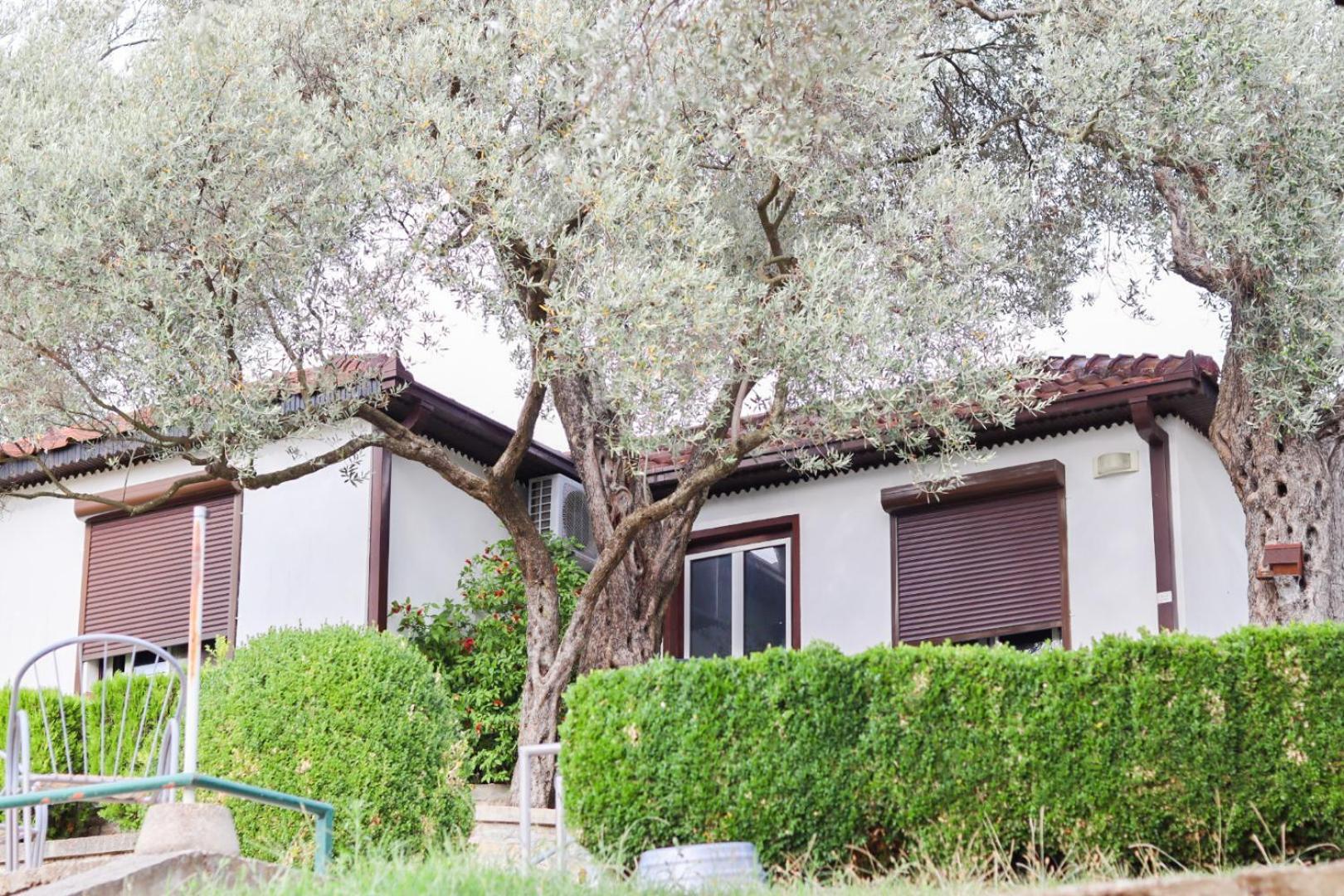 Hilja'S Oliven Garden Bungalows 乌尔齐尼 外观 照片
