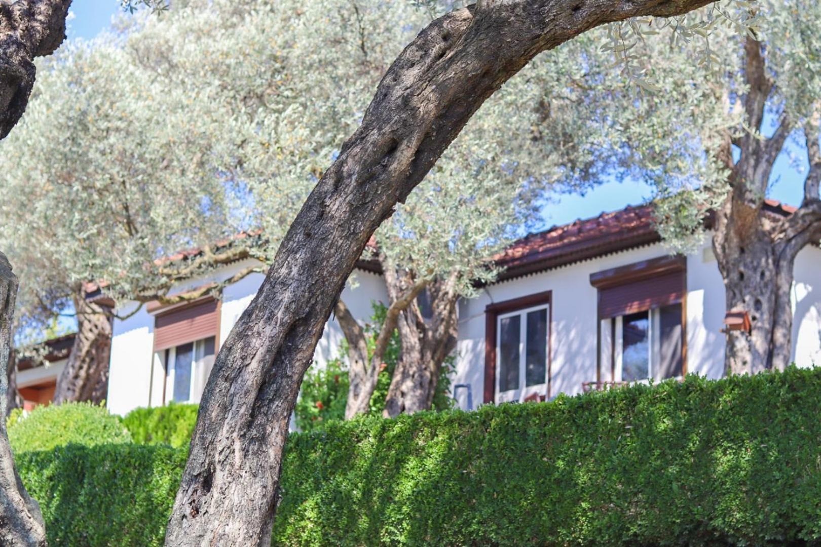 Hilja'S Oliven Garden Bungalows 乌尔齐尼 外观 照片