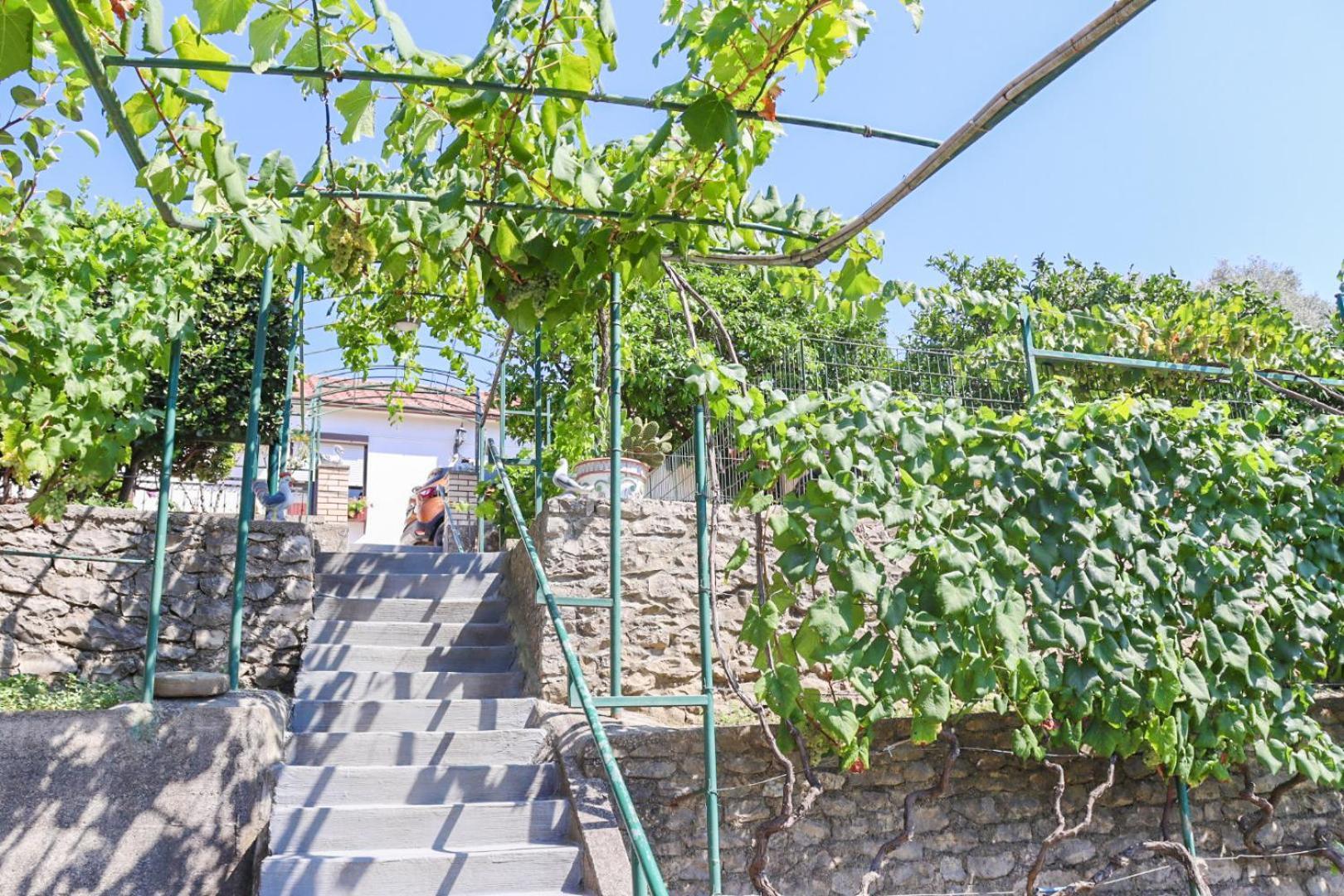 Hilja'S Oliven Garden Bungalows 乌尔齐尼 外观 照片